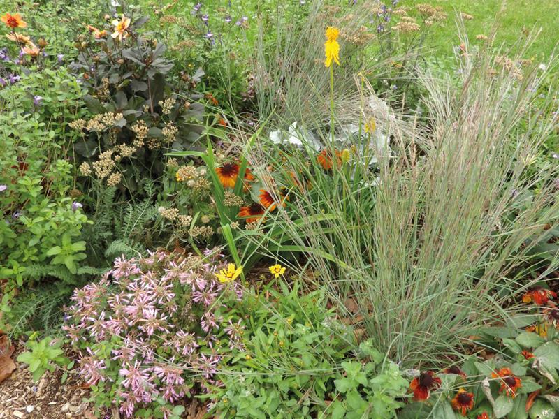 Evian : Une cure florale