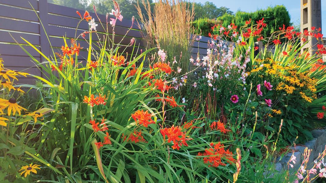 Montville : Couleurs d’été