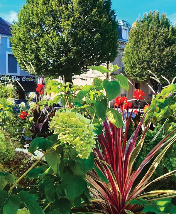 La Roche-sur-Yon : Donner l’envie