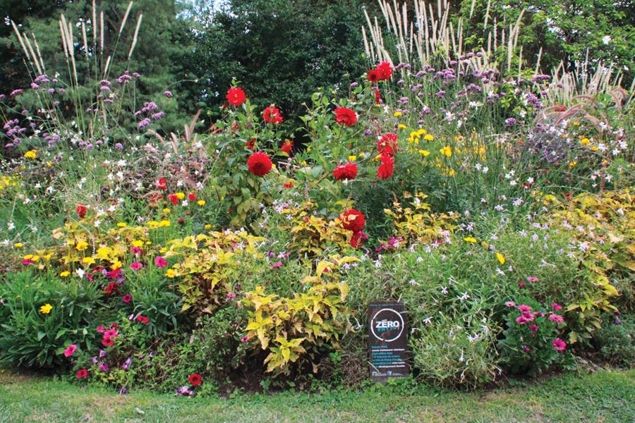 Nancy : “Crazy fantaisie” 