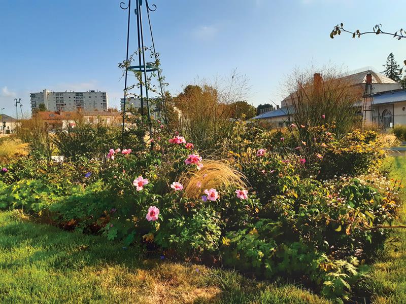 Orléans : La route de la rose