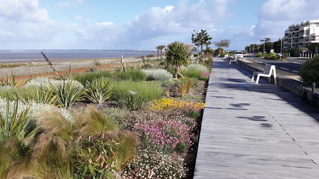 Saint-Brévin-les-Pins : Comme un air marin