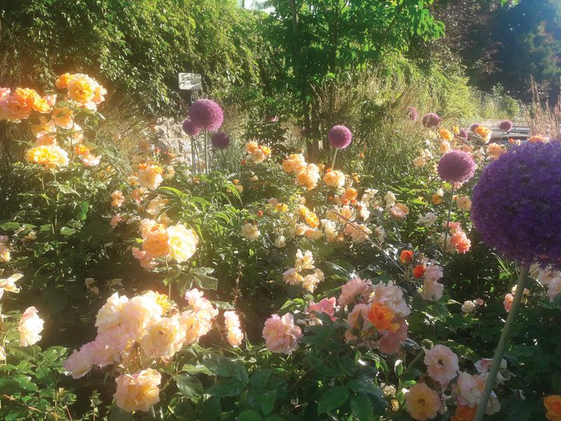 Divonne-les-Bains : Neuf mois de couleurs !