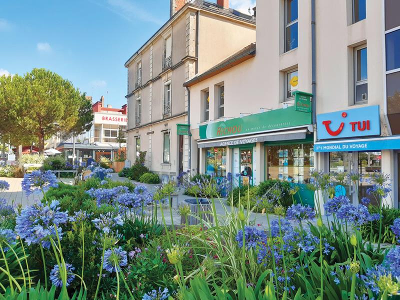 La Roche-sur-Yon : Nuage d’ombelles