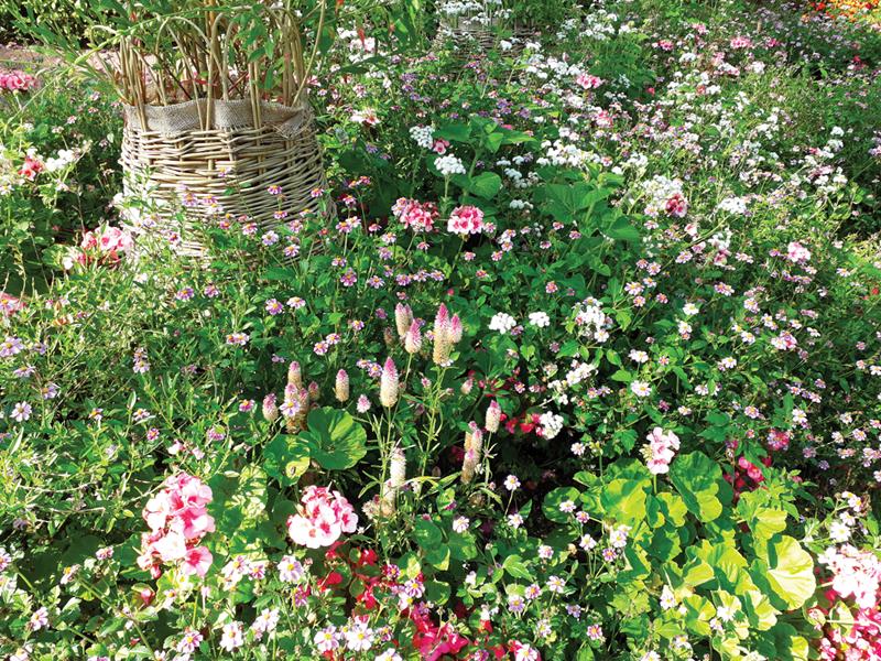 Reims : Le jardin des Hespérides