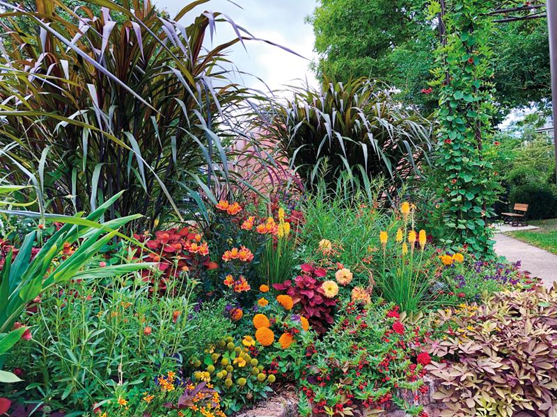 Vélizy-Villacoublay : Sous le soleil exactement !