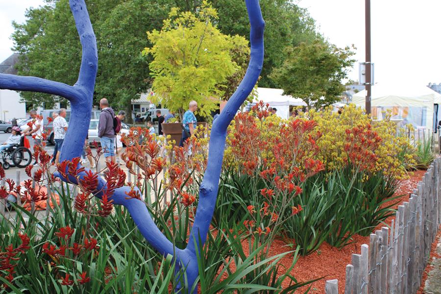 Lannion : Désert fleuri