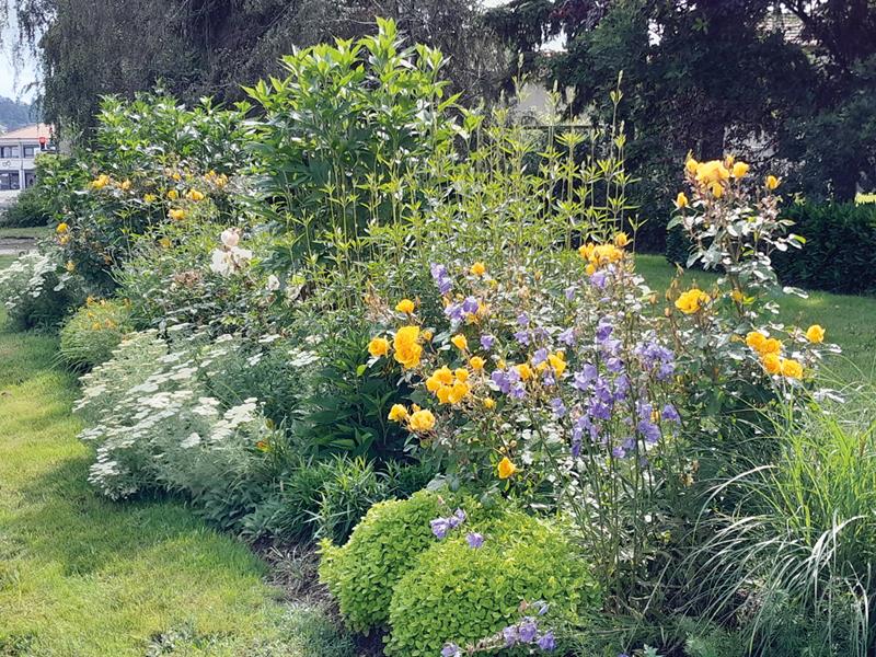 Saint-Galmier : Y’a de la joie !