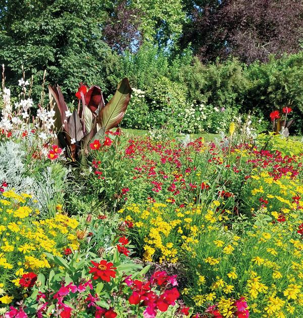Roubaix : Soleil, soleil !