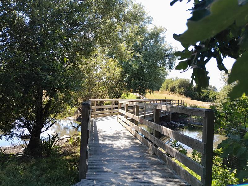 Le parc a retrouvé ses promeneurs pas à pas