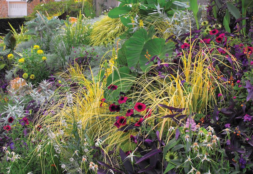 Chaville : Influenceur “vif argent” ! 