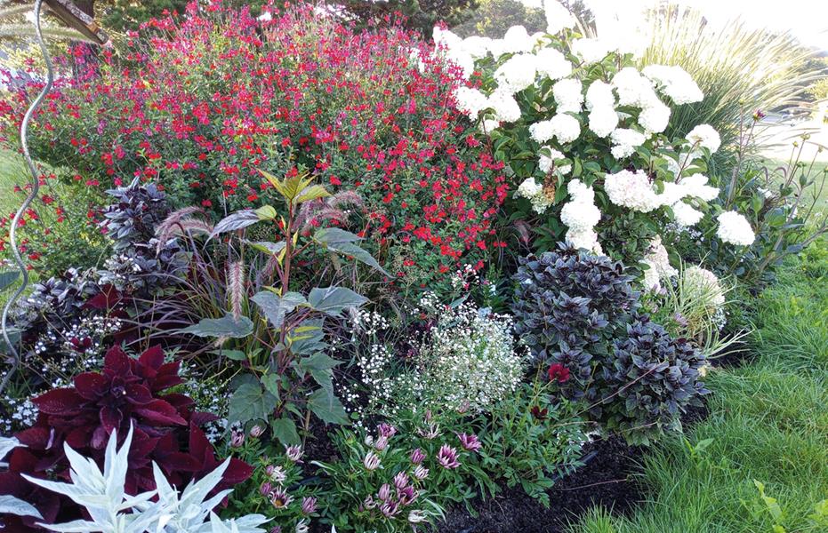 Perros-Guirec : Echantillons de tempête