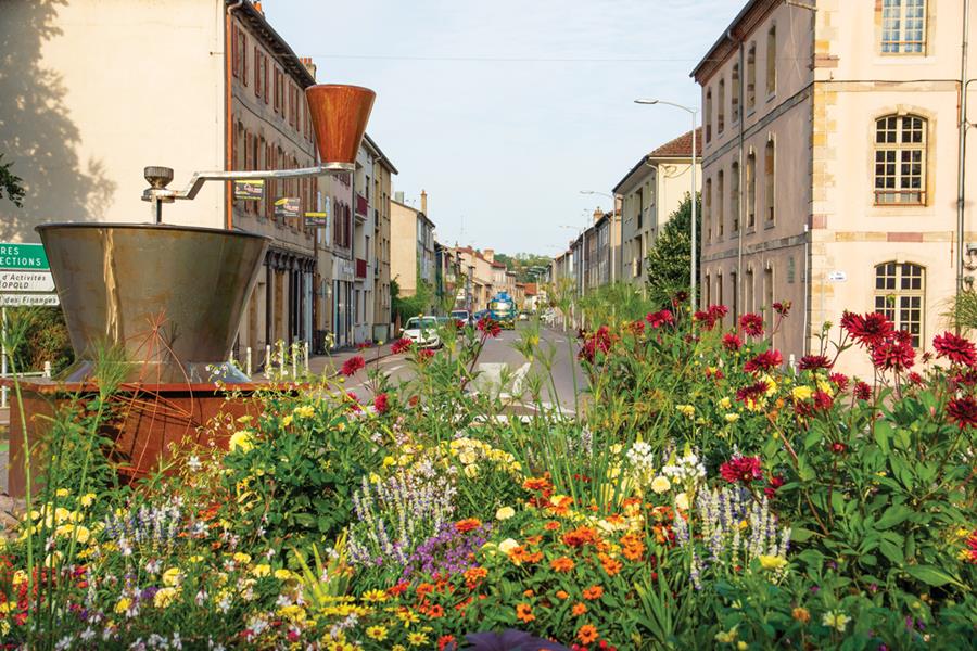 Lunéville : Quand la nature investit le quotidien