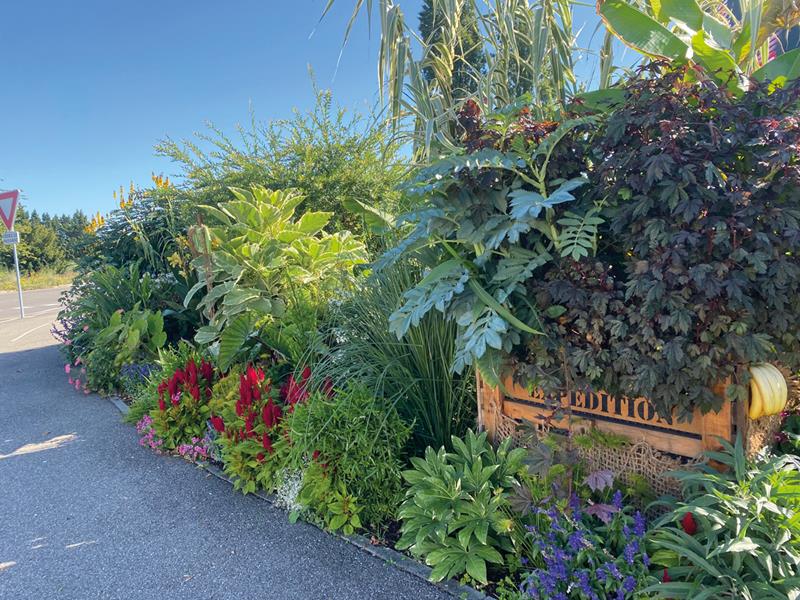 Marckolsheim : Expédition tropicale