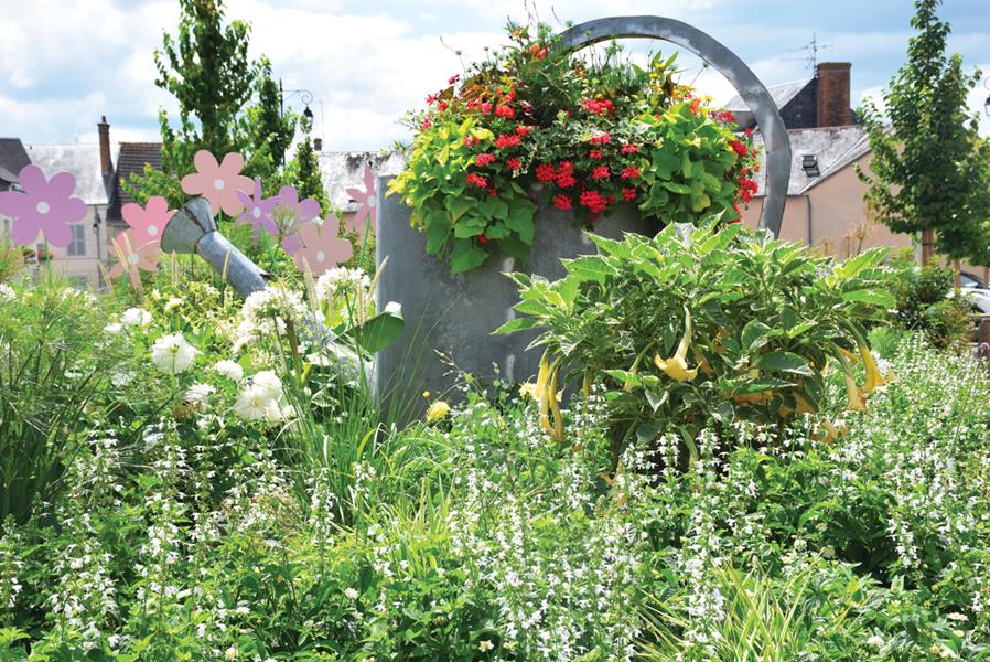 Aubigny-sur-Nère : Nuage blanc 