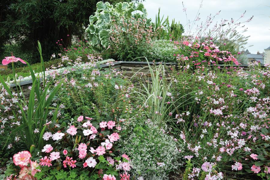 Château-Gontier-sur-Mayenne : Une bouffée d’oxygène