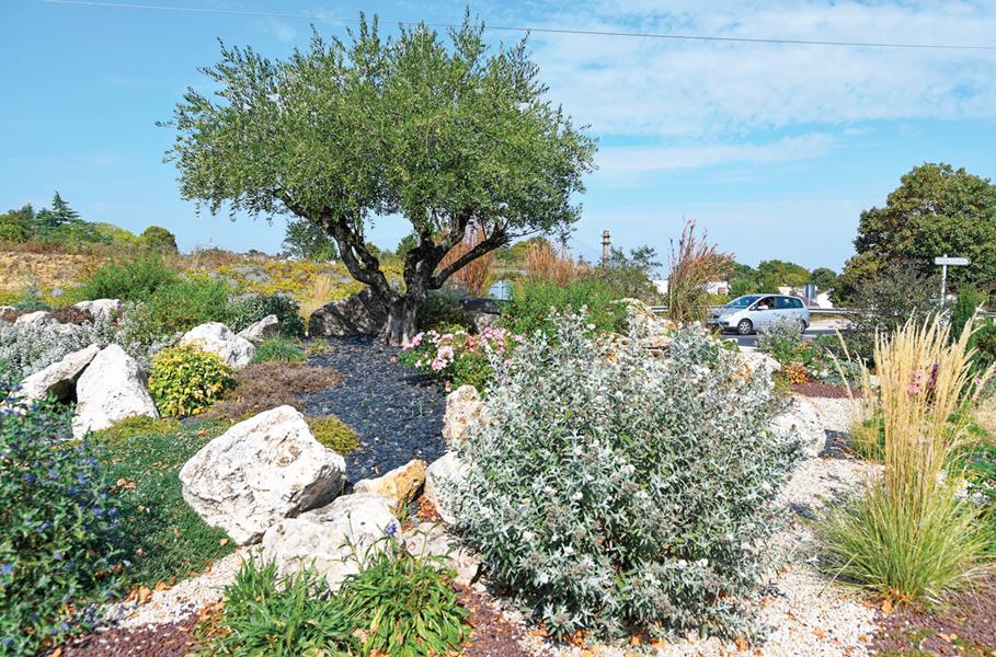 Joué-les-Tours : Autonome naturellement 