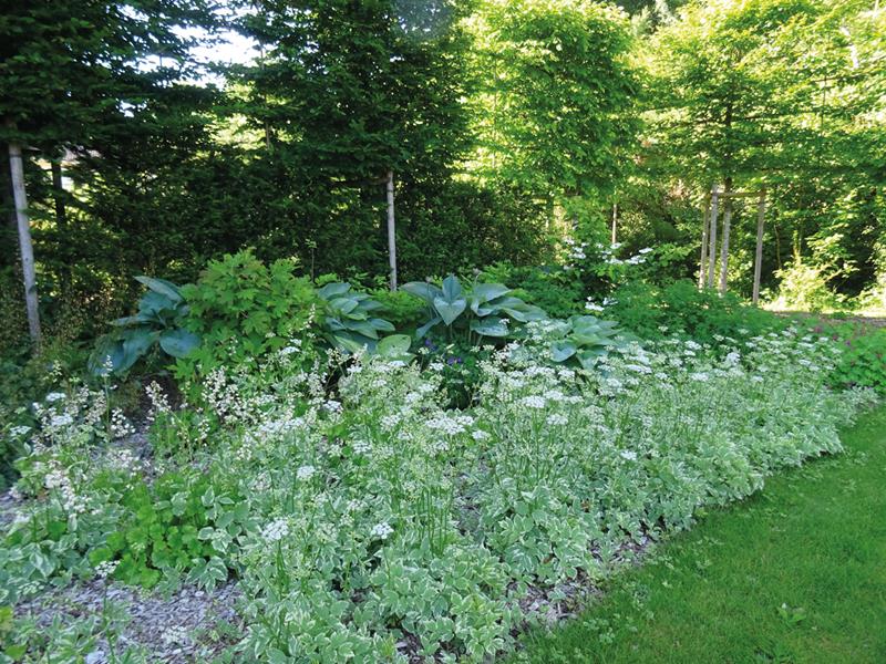 Saint-Benoît : On est bien au frais !