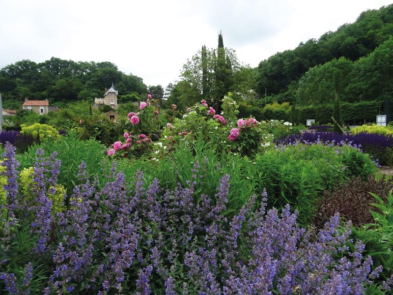 Saint-Benoît : Jardin d’images
