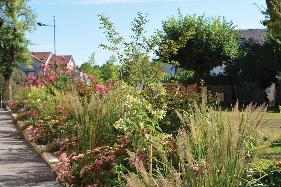 Divonne-les-Bains : Accord parfait