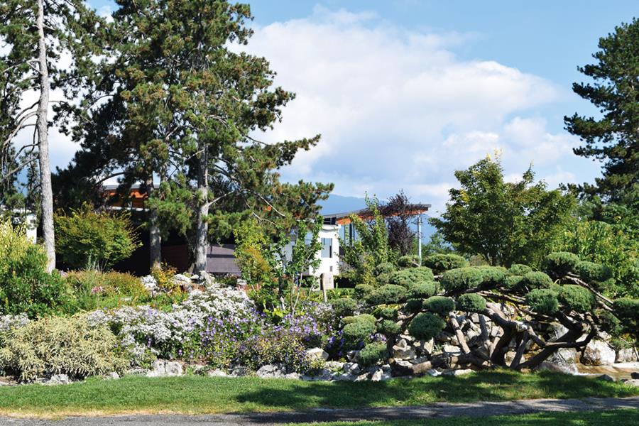 Divonne-les bains : Ambiance zen au bord du lac