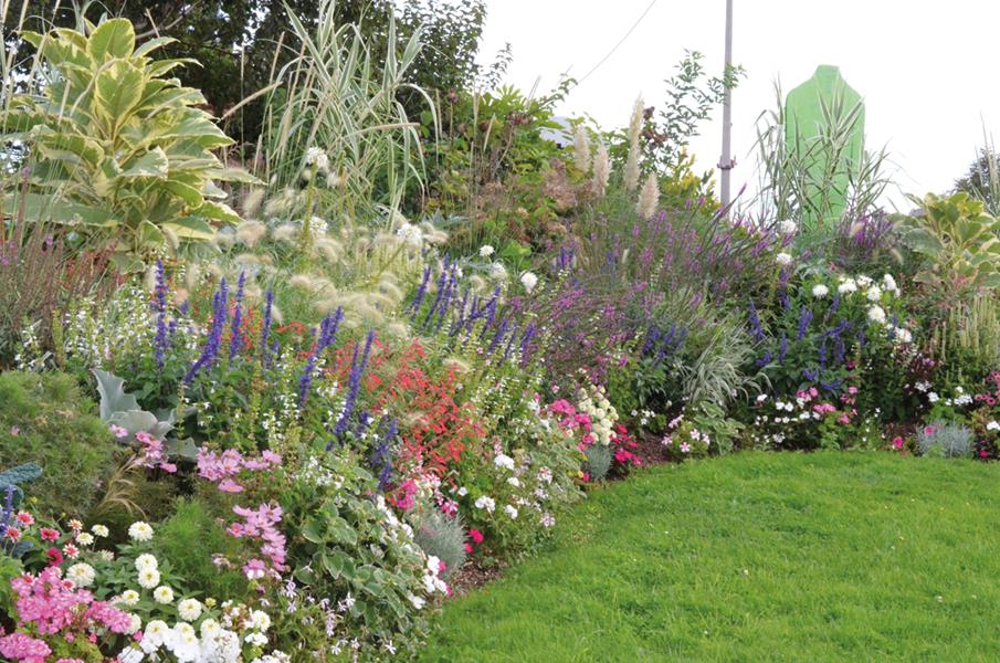 Calais : Souhaiter la bienvenue avec des fleurs