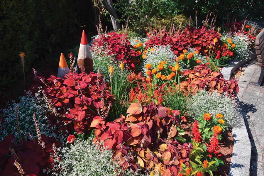 Marckolsheim : Matière grise pour massif haut en couleur
