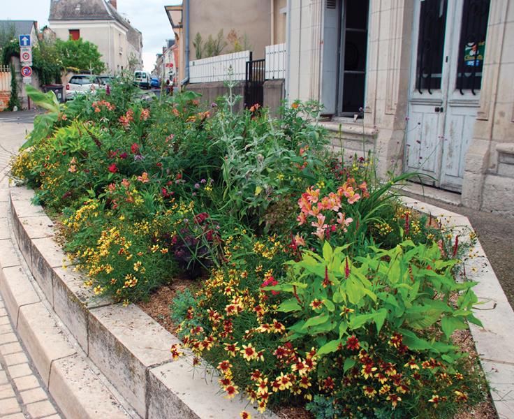 Fougères-sur-Bièvre : Un mojito framboise s’il vous plaît !