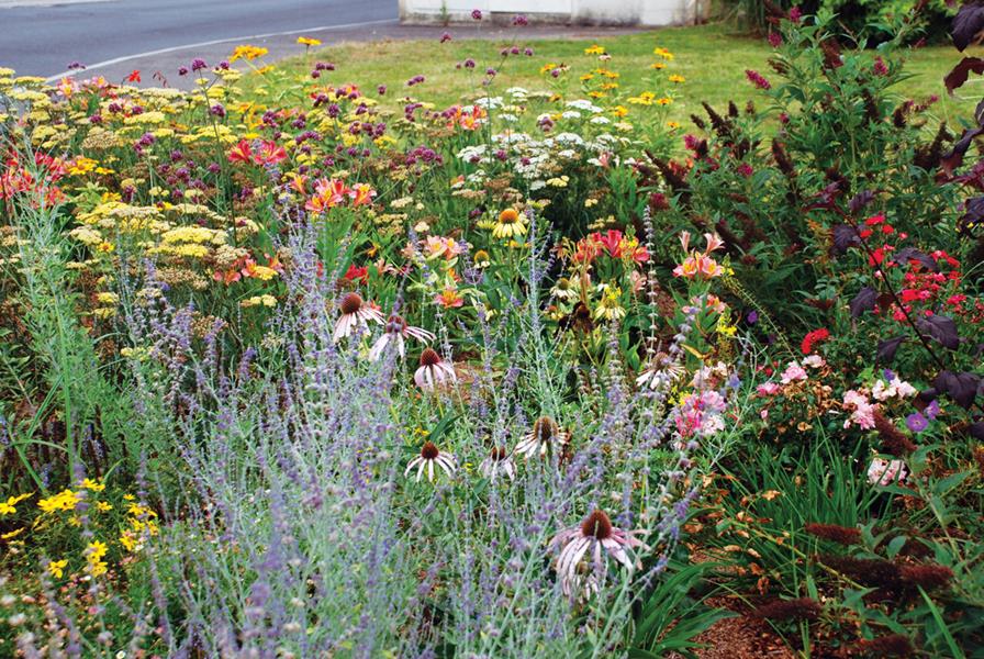 Contres : Art et nature