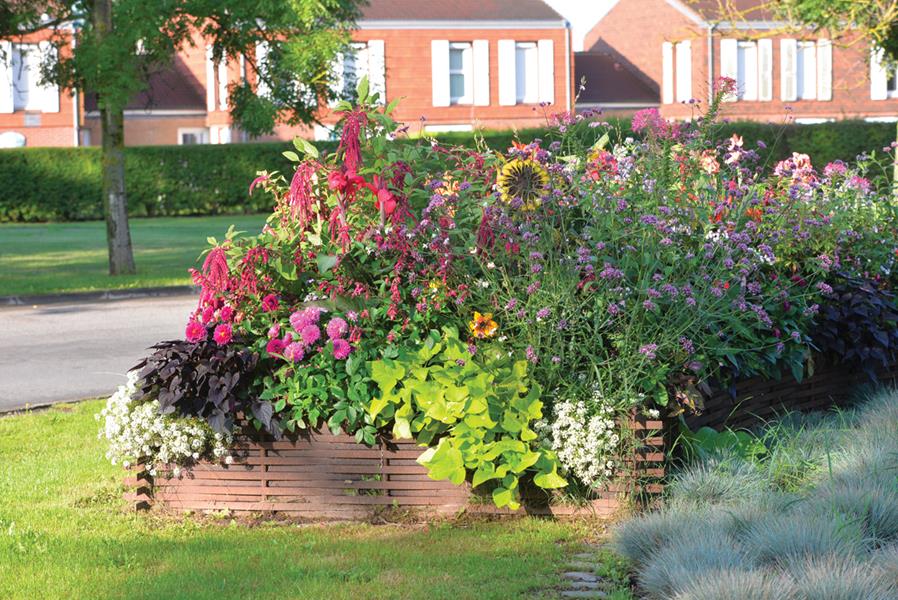 Gravelines : Amitié historique