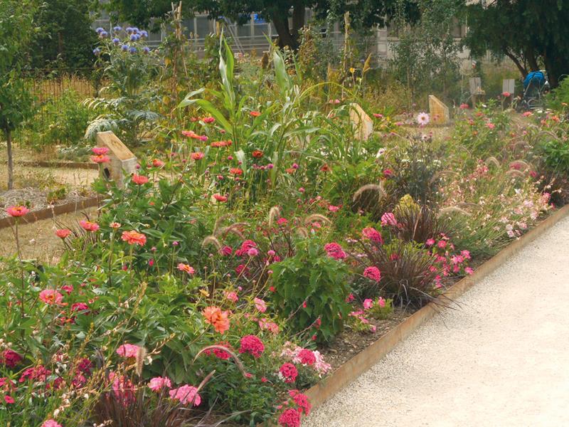 Nancy : Des plantes utiles