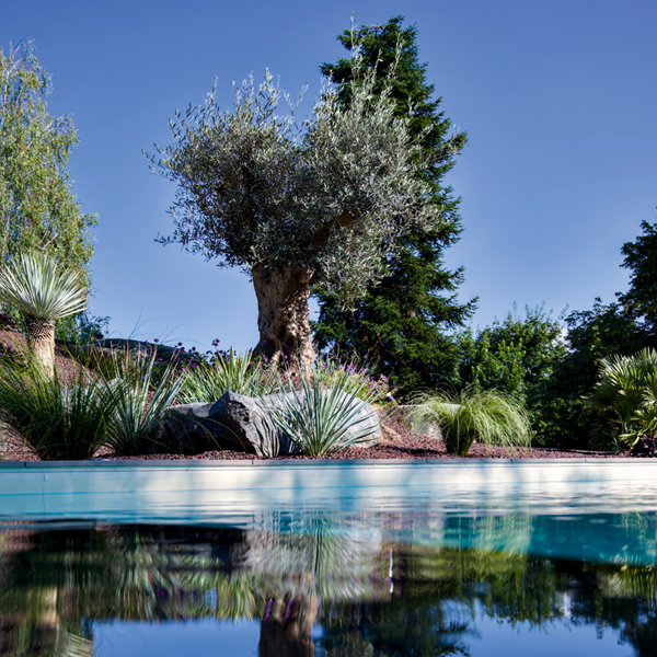 Remodeler le jardin grâce au bassin