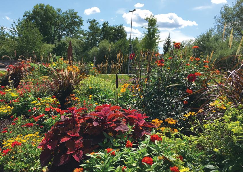 Belfort : Lifting en douceur