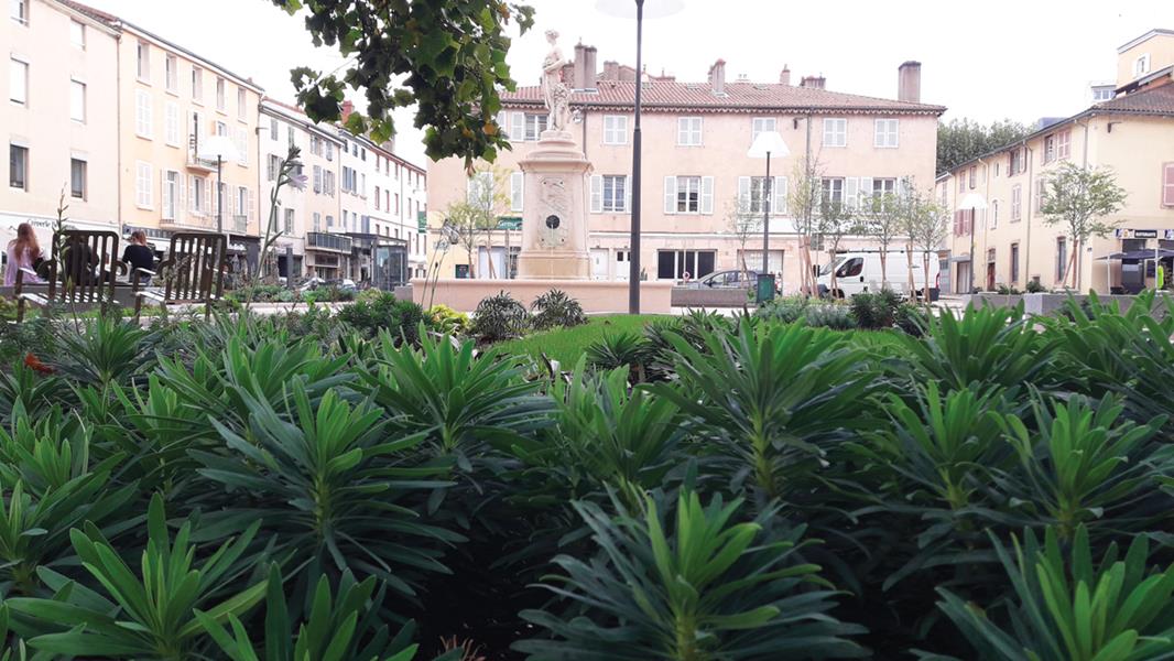 Mâcon : Sous-bois en centre-ville