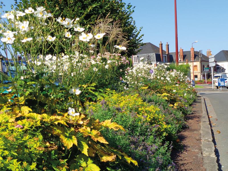 Aubigny-sur-Nère : Suivez les fleurs !