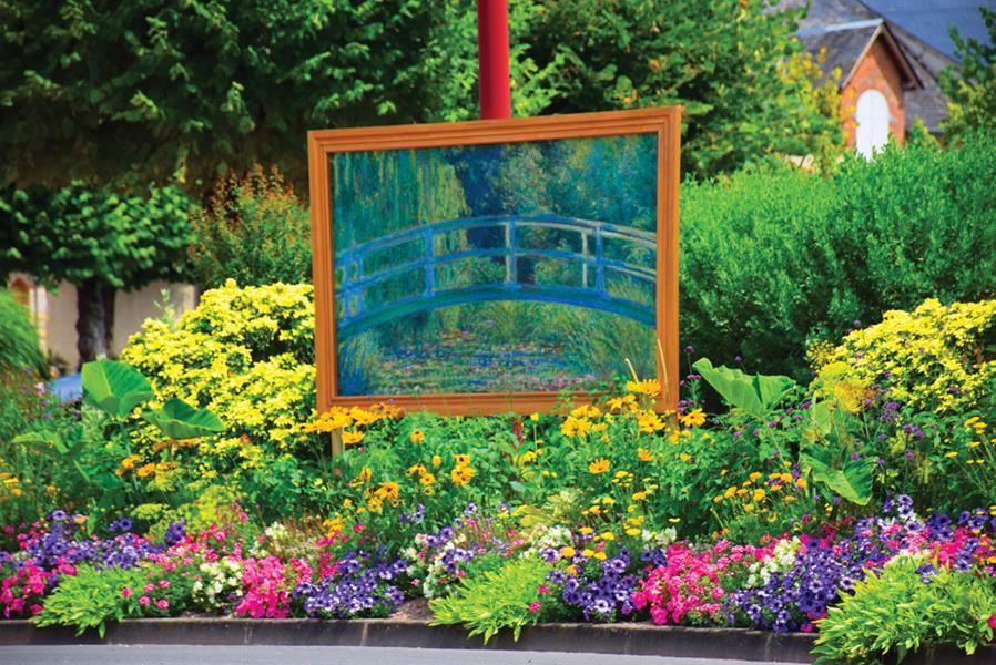 Aubigny-sur-Nère : Nymphéas