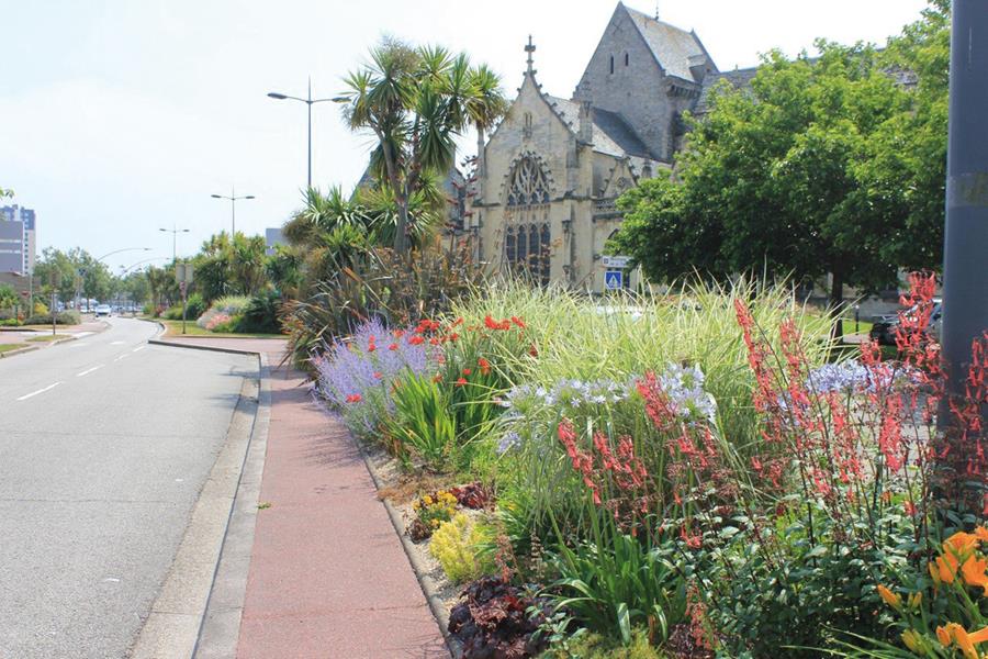 Cherbourg-en-Cotentin : Des vivaces, naturellement