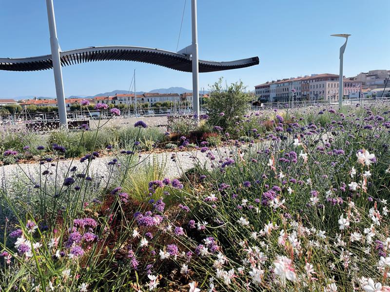 Saint-Raphaël : Jardin méditerranéen 