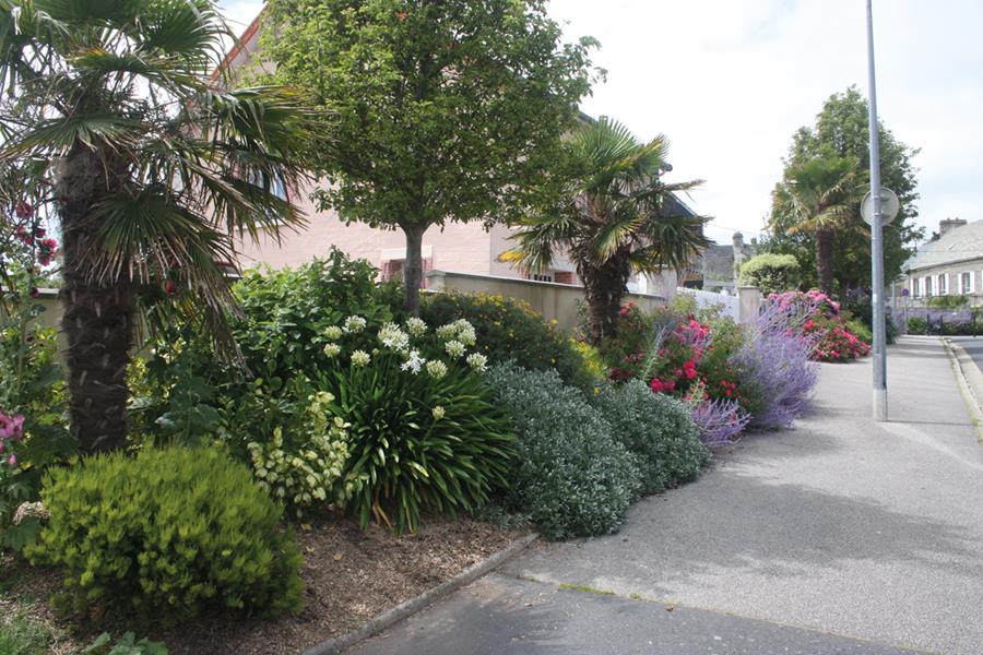 Cherbourg-en-Cotentin : Terre d’exotisme