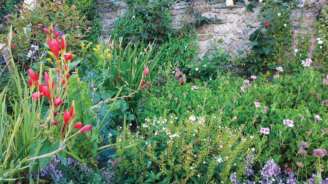 Roscoff : Retour au naturel 