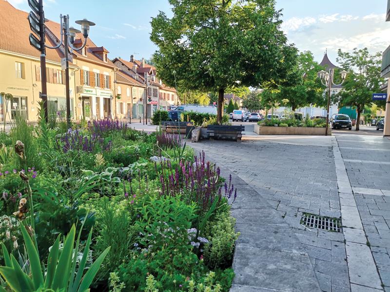 Morestel : Prairie urbaine 