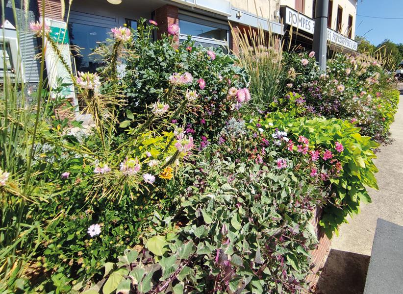 Montville : Une jardinière XXL