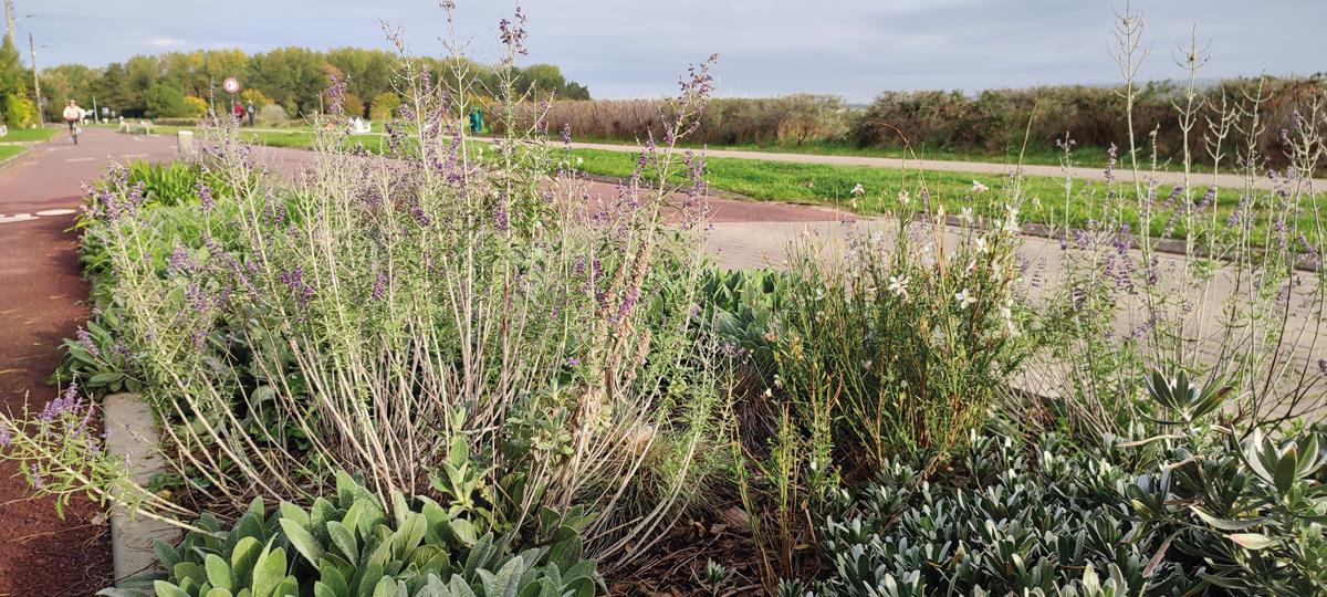 Le Touquet-Paris-Plage : L’écume des jours fleuris