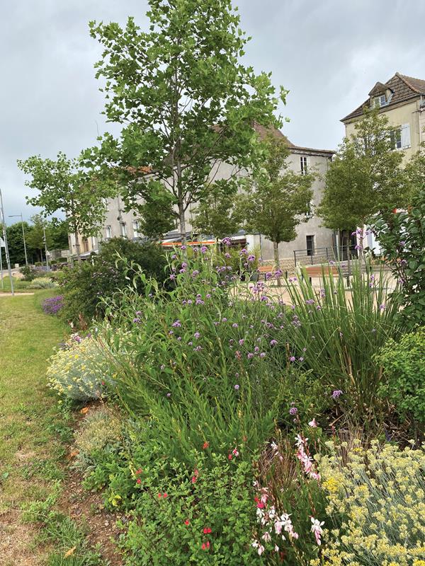 La Clayette : Remise en beauté
