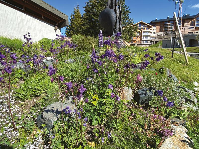 Huez : Jardins alpins 