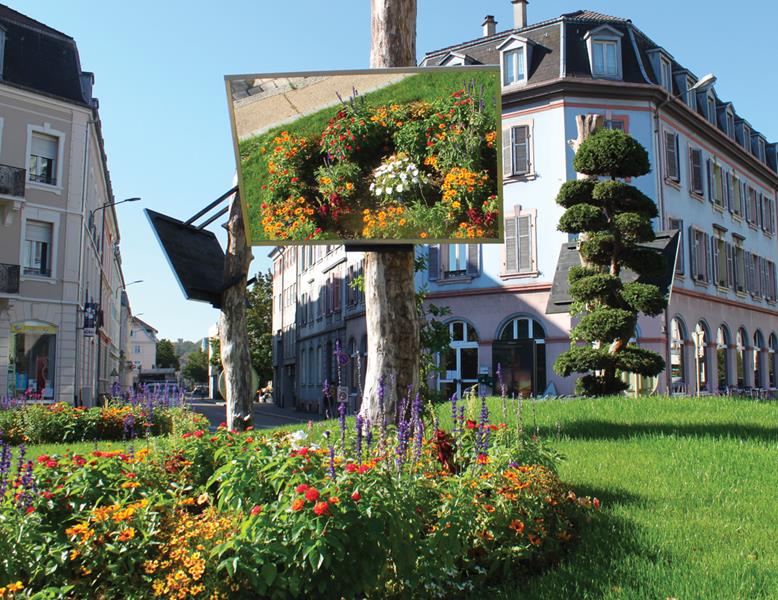 Mulhouse : Miroir, mon beau miroir !