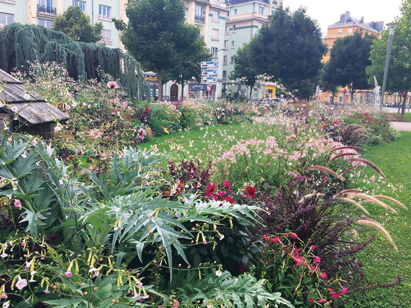 Belfort : Kir framboise