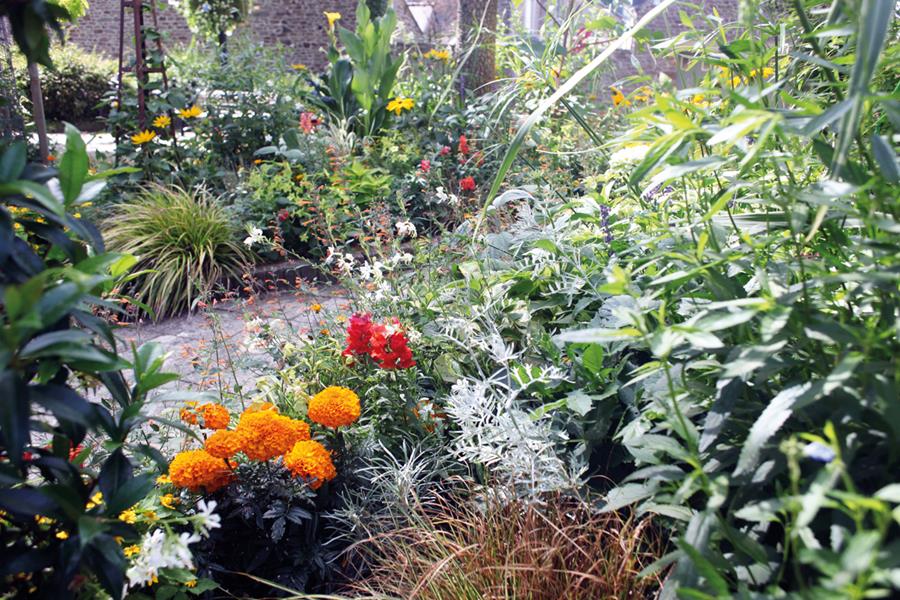 Pleudihen-sur-Rance : Breizh en fleurs... et en feuilles