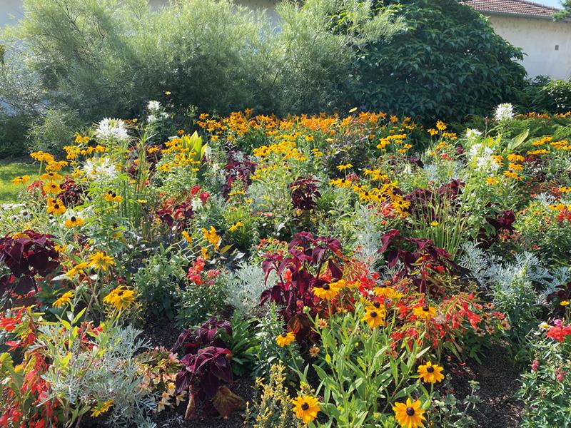 Toul : Un rayon de soleil