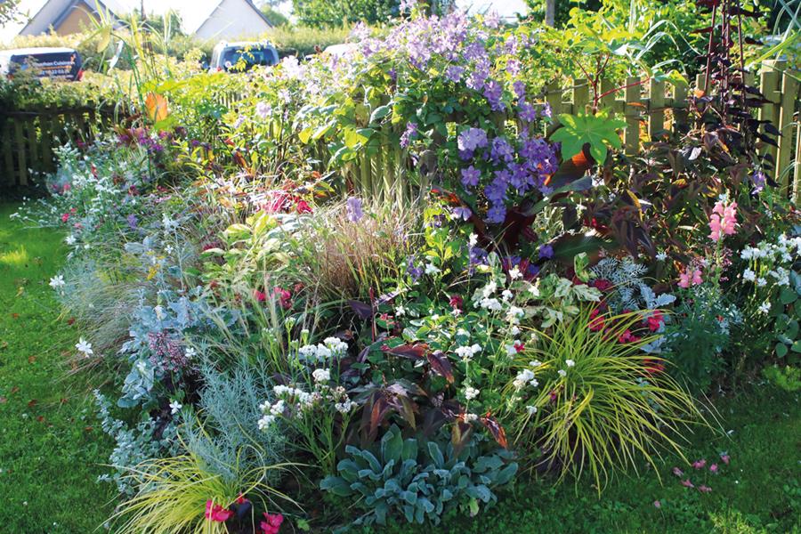 Pleudihen-sur-Rance : Diversité et unicité